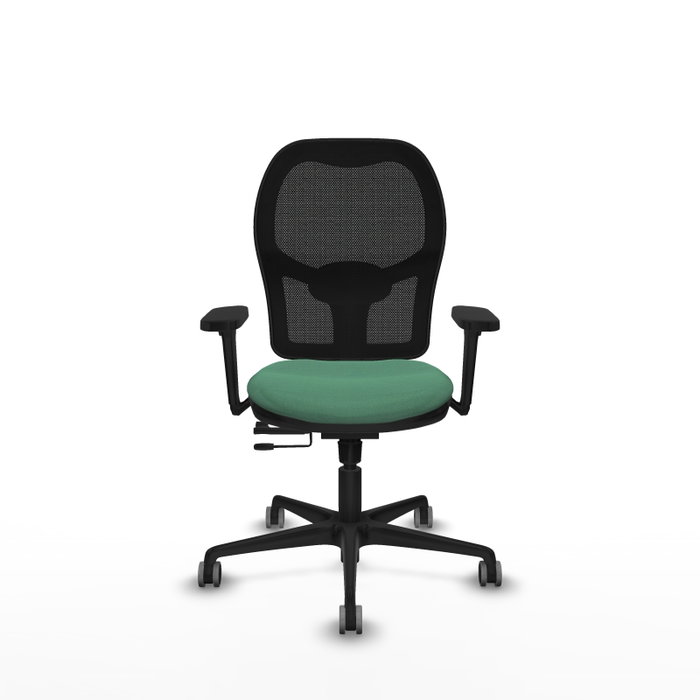 PIQUERAS Y CRESPO Silla de oficina Jorquera con mecanismo Sincro/Traslack, Verde esmeralda y Negro PIQUERAS Y CRESPO Silla de oficina Jorquera con mecanismo Sincro/Traslack, Verde esmeralda y Negro