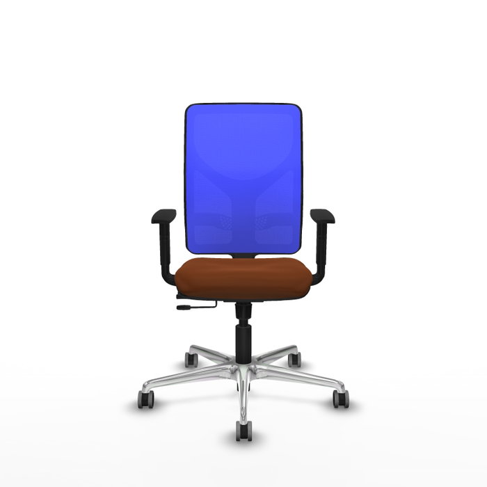 PIQUERAS Y CRESPO Silla de oficina Motilla con mecanismo Sincro/Traslack, Marrón y Azul PIQUERAS Y CRESPO Silla de oficina Motilla con mecanismo Sincro/Traslack, Marrón y Azul