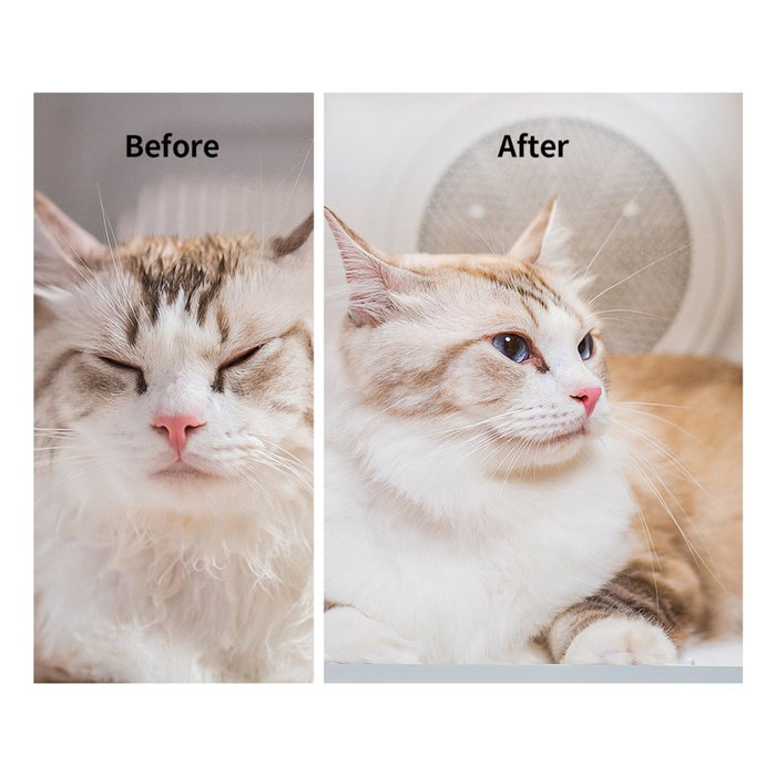 Petkit AIRSALON Max PD10 Secador inteligente para mascotas
