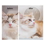 Petkit AIRSALON Max PD10 Secador inteligente para mascotas