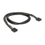 DeLOCK Cable USB 2.0 Pfostenbuchse 2,54 mm 10 Pin Hembra a Hembra 0,5 m