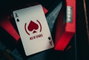 Theory 11 Baraja de cartas (PRODUCT)RED