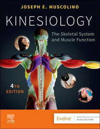 Kinesiology, Muscolino - ELSEVIER UK
