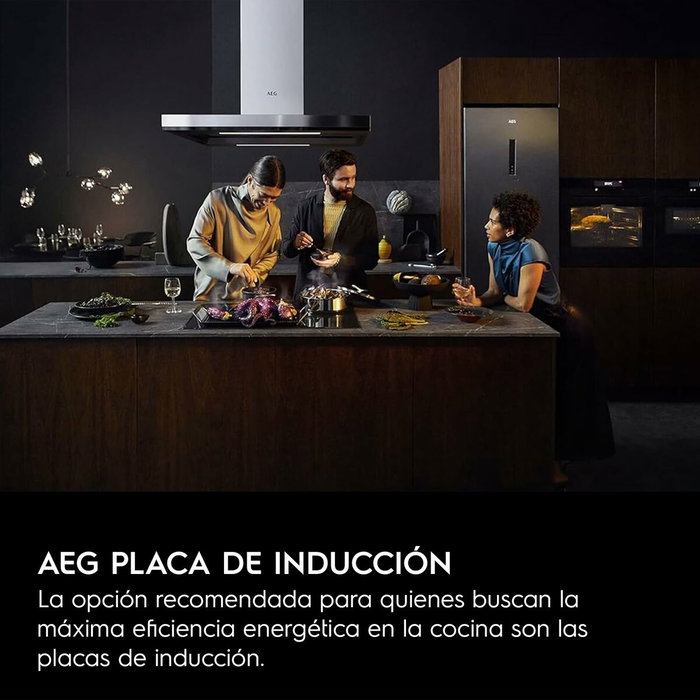 Placa de Inducción AEG TN63IP0BFB