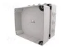 ELEKTRO-PLAST NASIELSK Caja de conexiones IP55 gris