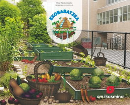 IKASMINA, Ekobaratzea. 1 Maila. Esploratzaile - IKASMINA