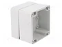 FIBOX EURONORD Carcasa Universal Gris