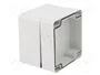 FIBOX EURONORD Carcasa Universal Gris