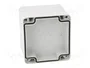 FIBOX EURONORD Carcasa Universal Gris