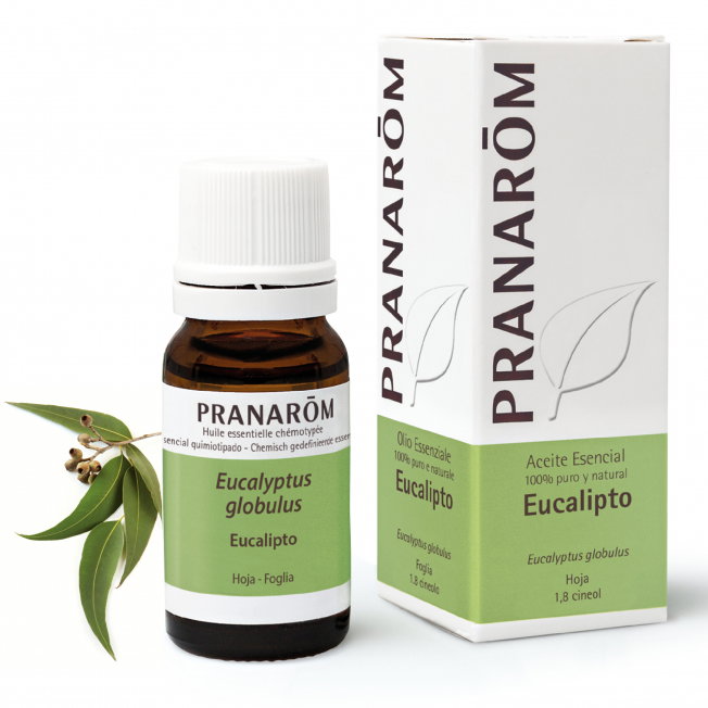 PRANAROM Aceite esencial Eucalipto Hoja 10 ml PRANAROM Aceite esencial Eucalipto Hoja 10 ml