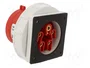 PAWBOL Conector Macho IEC 60309 de 5 Pines 32A 400V IP67