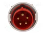 PAWBOL Conector Macho IEC 60309 de 5 Pines 32A 400V IP67