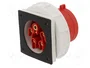 PAWBOL Conector Macho IEC 60309 de 5 Pines 32A 400V IP67