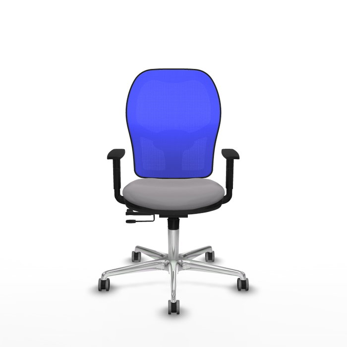 PIQUERAS Y CRESPO Silla de oficina Jorquera con mecanismo Sincro/Traslack, Gris y Azul PIQUERAS Y CRESPO Silla de oficina Jorquera con mecanismo Sincro/Traslack, Gris y Azul
