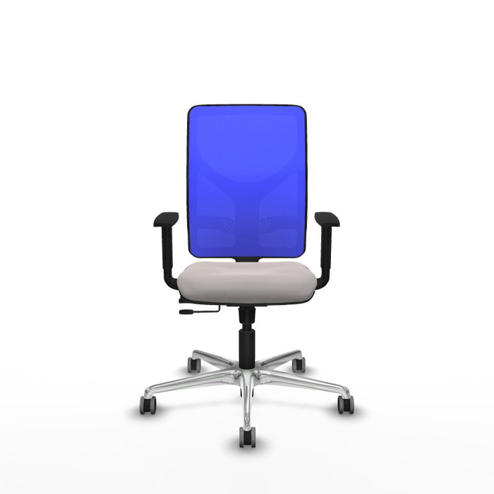 PIQUERAS Y CRESPO Silla de oficina Motilla con mecanismo Sincro/Traslack, Blanco y Azul PIQUERAS Y CRESPO Silla de oficina Motilla con mecanismo Sincro/Traslack, Blanco y Azul