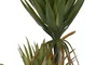 DKD Home Decor Planta Agave Century Verde