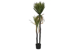 DKD Home Decor Planta Agave Century Verde