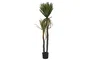 DKD Home Decor Planta Agave Century Verde