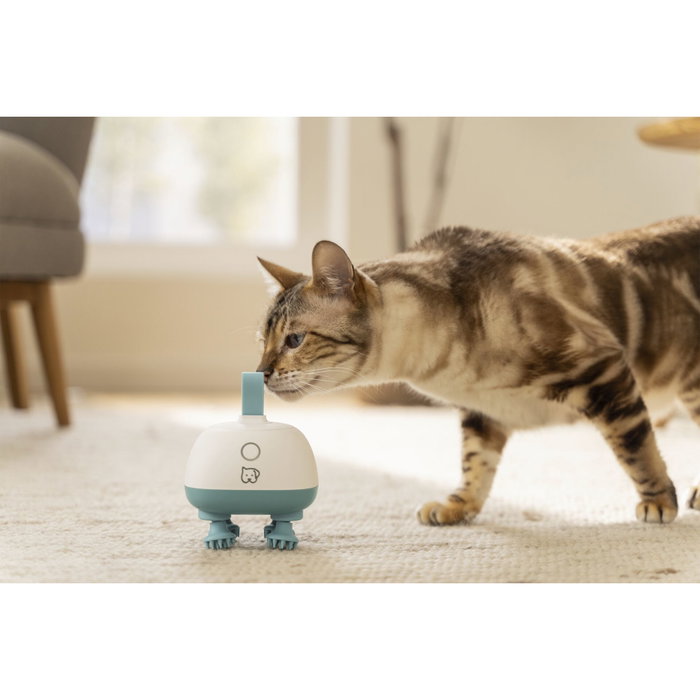 Beurer PP 410 Buddy Pet Massage Device Blanco / Azul Beurer PP 410 Buddy Pet Massage Device Blanco / Azul