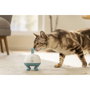 Beurer PP 410 Buddy Pet Massage Device Blanco / Azul
