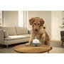 Beurer PP 410 Buddy Pet Massage Device Blanco / Azul