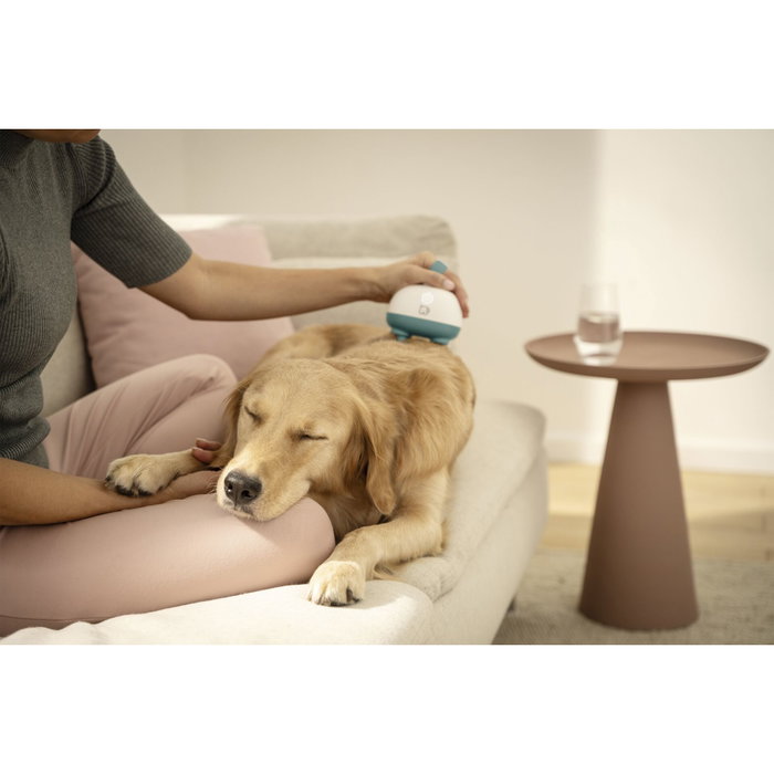 Beurer PP 410 Buddy Pet Massage Device Blanco / Azul Beurer PP 410 Buddy Pet Massage Device Blanco / Azul