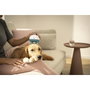 Beurer PP 410 Buddy Pet Massage Device Blanco / Azul