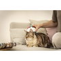 Beurer PP 410 Buddy Pet Massage Device Blanco / Azul