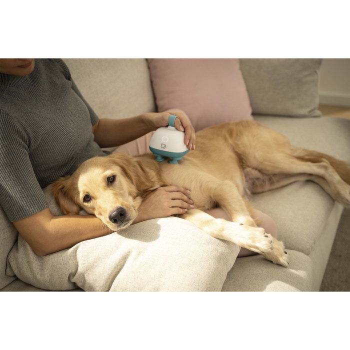 Beurer PP 410 Buddy Pet Massage Device Blanco / Azul Beurer PP 410 Buddy Pet Massage Device Blanco / Azul