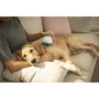 Beurer PP 410 Buddy Pet Massage Device Blanco / Azul