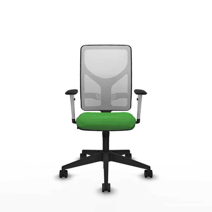 PIQUERAS Y CRESPO Silla de oficina Motilla con mecanismo Sincro, Verde y Blanco PIQUERAS Y CRESPO Silla de oficina Motilla con mecanismo Sincro, Verde y Blanco