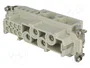 ILME CXF 4/8 Plantilla de Contacto Hembra HDC