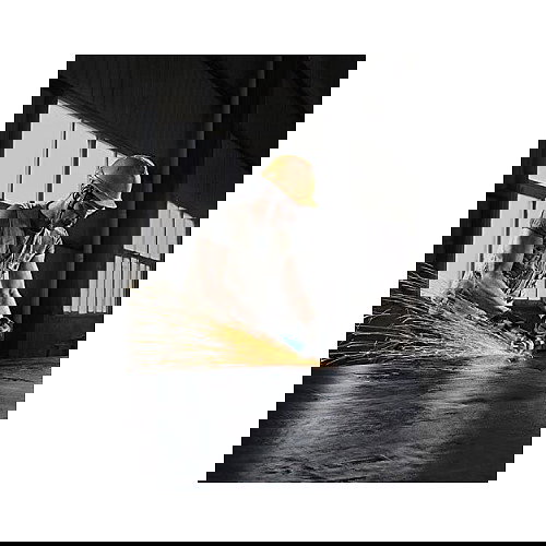 Bosch Amoladora Angular GWS 9-125 S Professional, 11000 RPM, 900W, 125 mm, 1.9 kg, 220-240V