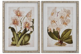 DKD Home Decor Cuadro Tropical Multicolor Verde Ratán Cristal Abeto 2 x 70 x 50 cm