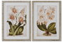 DKD Home Decor Cuadro Tropical Multicolor Verde Ratán Cristal Abeto 2 x 70 x 50 cm