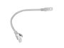 Lanberg Latiguillo de Red Cat6 U/UTP 0,25 m Gris PCU6-10CC-0025-S