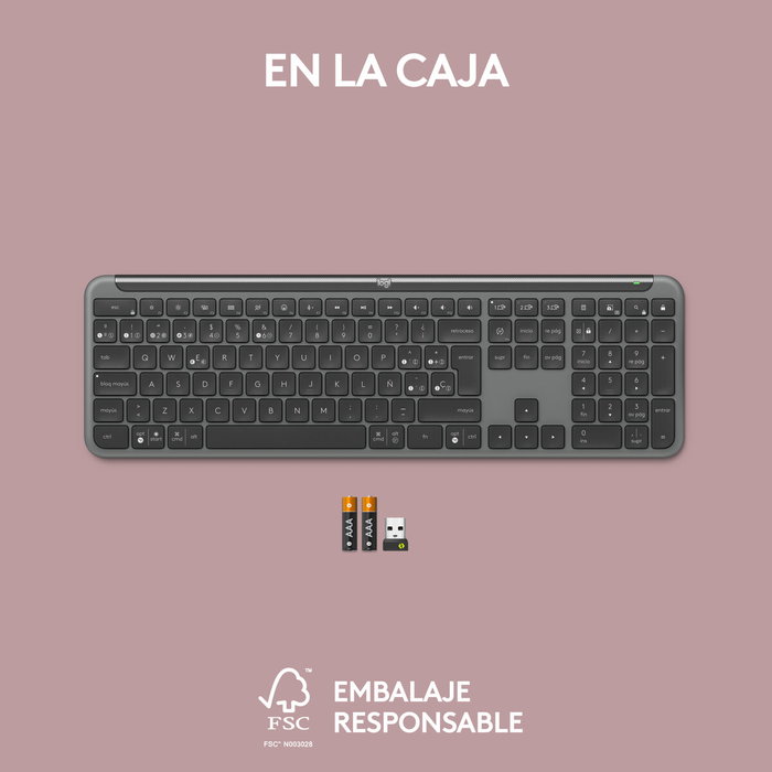 Logitech Signature Slim K950 Teclado Inalámbrico Grafito Español