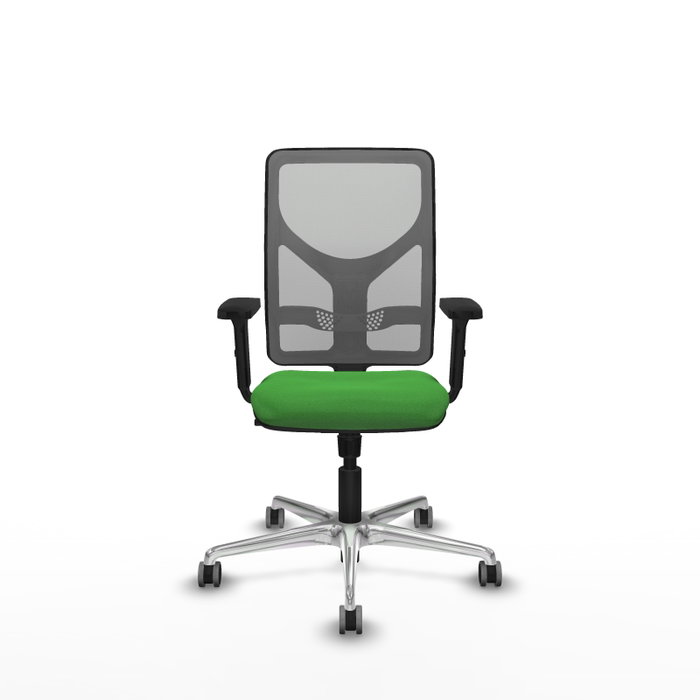 PIQUERAS Y CRESPO Silla de oficina Motilla con Mecanismo Sincro, Verde y Gris PIQUERAS Y CRESPO Silla de oficina Motilla con Mecanismo Sincro, Verde y Gris