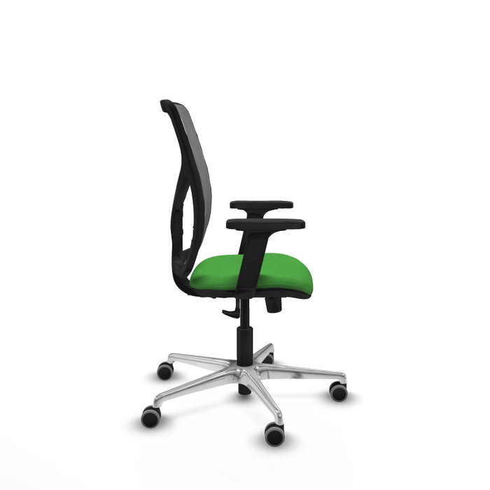 PIQUERAS Y CRESPO Silla de oficina Motilla con Mecanismo Sincro, Verde y Gris PIQUERAS Y CRESPO Silla de oficina Motilla con Mecanismo Sincro, Verde y Gris