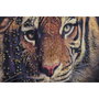 DKD Home Decor Cuadros en Lienzo Animal con Chaqueta, Set de 4 unidades, 64x4,5x84 cm