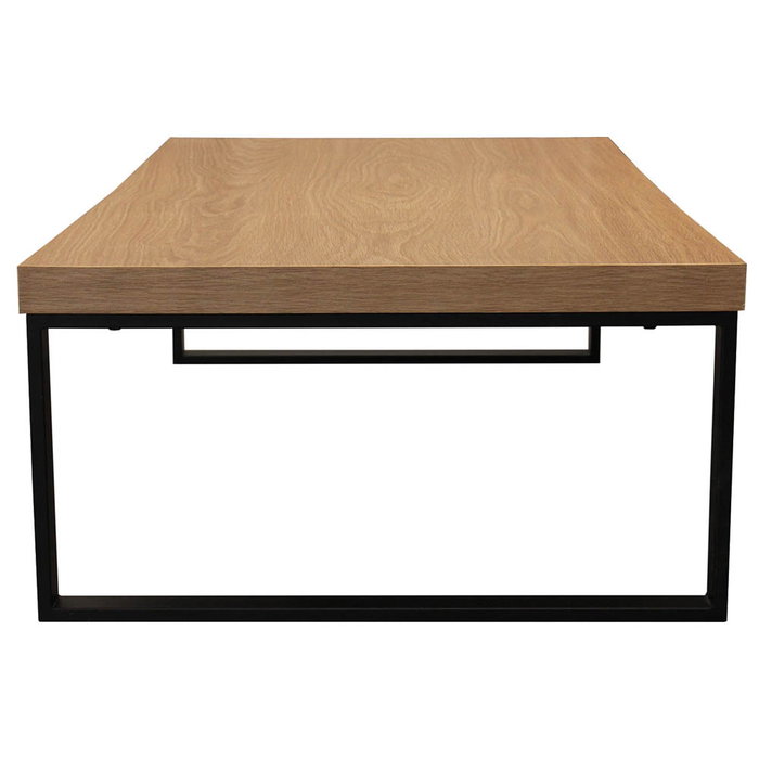 Home Deco Factory Mesa De Centro, Mobilier Design, con estructura de acero y tablero de contrachapado melamina, 120x60x30 cm