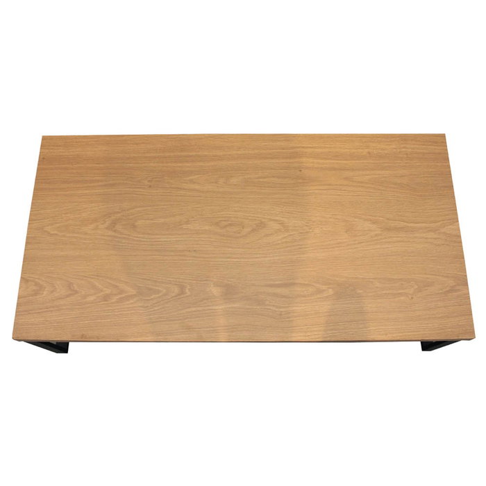 Home Deco Factory Mesa De Centro, Mobilier Design, con estructura de acero y tablero de contrachapado melamina, 120x60x30 cm