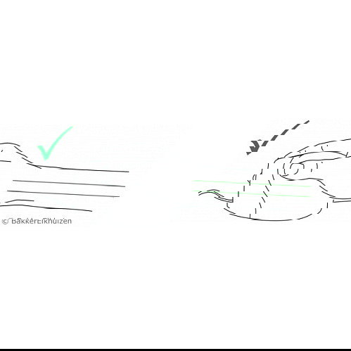 Evoluent Standard Mouse Vertical Ergonómico para Diestros - 3 Botones, 1500 DPI, Negro/Gris/Plata, USB-A, Plug & Play (Windows, macOS, Linux)