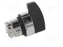 SCHNEIDER ELECTRIC Interruptor Rotativo Harmony XB4 de 3 Posiciones Negro