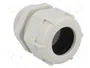 BM GROUP Sello aislante PG29 gris