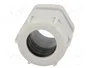 BM GROUP Sello aislante PG29 gris