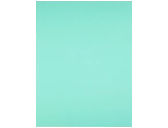 Liderpapel Cartulina 50x65 cm 180g/m2 Verde para Dibujo y Manualidades