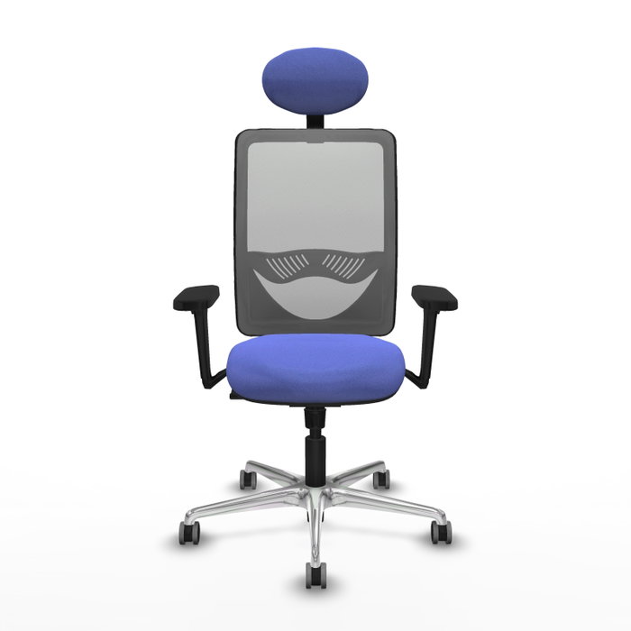 PIQUERAS Y CRESPO Silla de oficina Zulema con Mecanismo Sincro, Tela Azul claro y Malla Gris PIQUERAS Y CRESPO Silla de oficina Zulema con Mecanismo Sincro, Tela Azul claro y Malla Gris