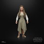 Hasbro Black Series - Figura Star Wars Princess Leia (Ewok Village, Retorno del Jedi), 15 cm articulada con pistola blaster y lanza ewok