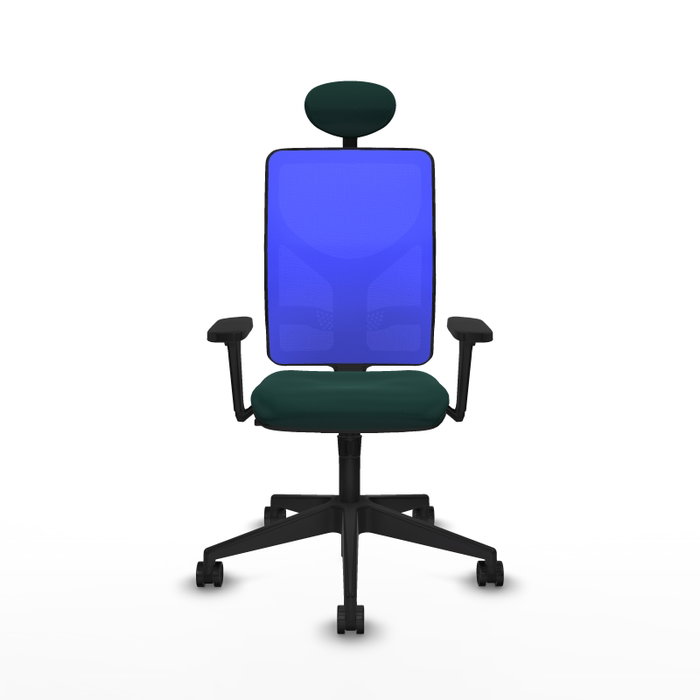 PIQUERAS Y CRESPO Silla de oficina Motilla con mecanismo Sincro, Verde botella y Azul